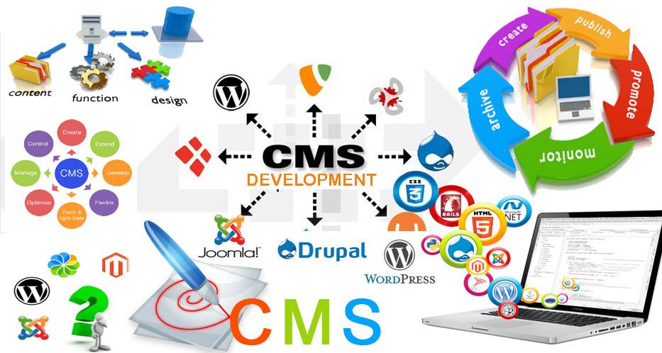 CMS Development